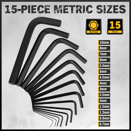 Hex Key Allen Wrench Set: 41-Piece Hex and Torx Key Set with Torque Handle, Standard SAE(0.028"-3/8") & Metric(0.7mm-10mm) & Torx(T9-T50) in Storage Case, Heat Treated Chrome Vanadium Steel