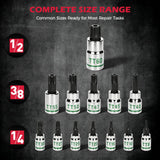 16-Piece Torx Bit Socket Set, Premium S2 Steel, European Style TT8-TT60