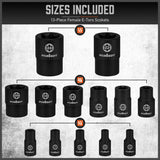 HORUSDY 66-Piece Allen & Torx Bit Socket Set, SAE/Metric, Star & Female E-Torx, S2 Steel, with 4 Impact Socket Adapters